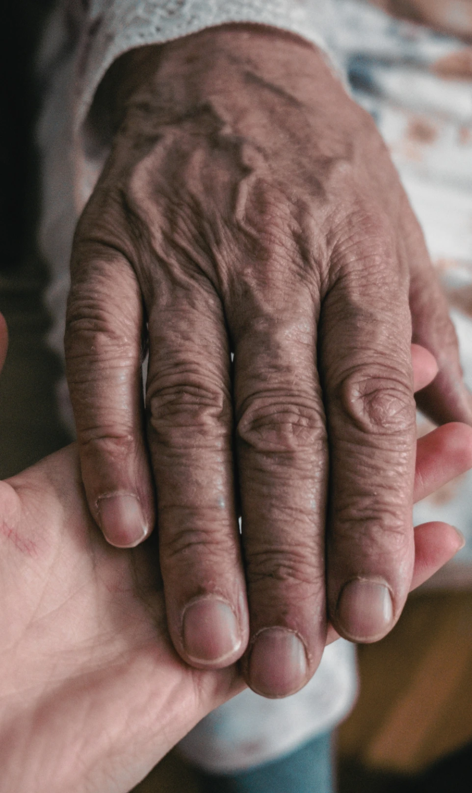 Trusted Caregivers for Seniors &amp; Families